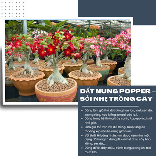 (combo 3 gói) Đất nung Thái Popper 1 Lít (size L) 8-12mm, giá thể thuỷ canh, trang trí bề mặt chậu hoa kiểng