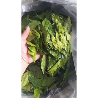 Lá mắc mật khô