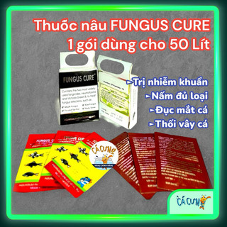 Fungus Cure tri benh cá nhiễm khuẩn nấm đục mắt thối rữa vây và đuôi