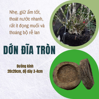 (Combo 2 miếng) Dớn đĩa tròn trồng lan đường kính khoảng 20cm - Green City