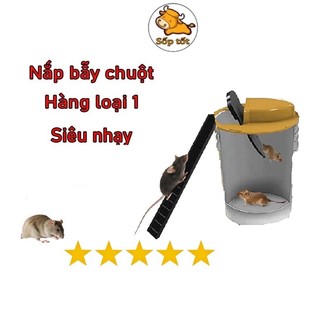 Bẫy chuột bập bênh thông minh tự động siêu bắt chuột hiệu quả thay cho lồng kẹp sắt, dùng keo GD40