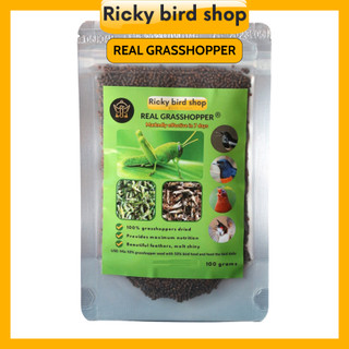 Hạt châu chấu sấy Ricky cho chim - 100 grams châu chấu sấy cao cấp