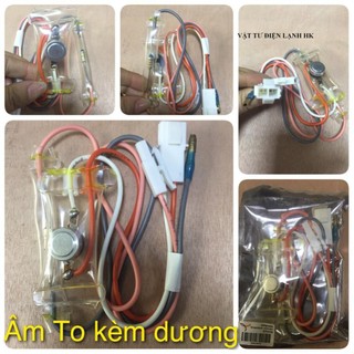 Combo 2 Cảm Biến Nhiệt Độ Tủ Lạnh Toshiba (Âm Kèm Dương)