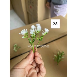 100gr hoa cỏ điểm trang trí- đã nhặt bỏ dây cọng