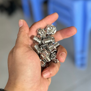 ÓC CHÂN KÍNH SALAYA INOX 304