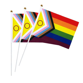 Cờ LGBT cầm tay LGBTIQ PLUS