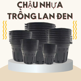 Combo 10 Chậu nhựa trồng lan màu đen, nhiều kích thước, thoáng khí, thoát nước tốt, chậu bền rẻ (Vườn Sài Gòn)