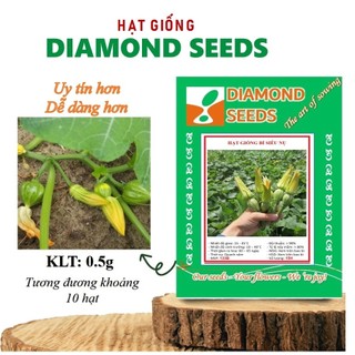 Hạt giống bí siêu nụ siêu ngọn lai F1 10gram/gói