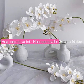 Cành Hoa Lan Hồ Điệp Cao Su - Loại 9 Bông Dài 95cm - Bông Lan Giả Hoa Khô Decor Nhà - Hoa Lụa Mơ Bơ