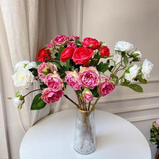 Cành 3 Bông Hoa Hồng Pháp Juliet Lụa Màu Trắng/Đỏ/ Hồng Có Nụ - Bông Khô Hoa Giả Trang Trí Decor Nhà Cửa