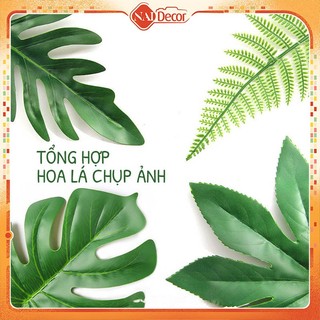 [Tổng hợp] Hoa lá trang trí chụp ảnh, Lá Giả Nai Decor Lá Rùa, Trầu Bà, Dừa, Lá Đô, Lá Bạc, Bạch Đàn