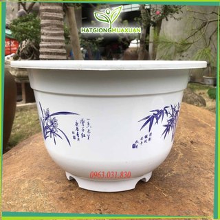 [HOT] Chậu nhựa trồng cây đường kính 23 —> 45cm c/lượng, hg C/ty.