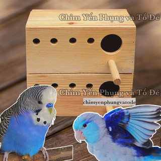 Tổ đẻ chim Yến Phụng size to [mẫu cơ bản] Gỗ thông Mỹ, làm thủ công.