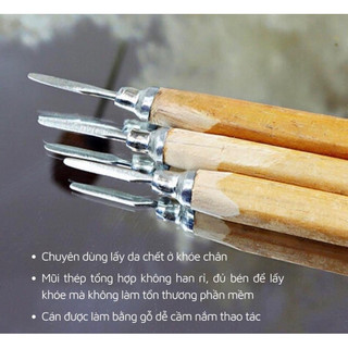 Cậy khoé gỗ(s)