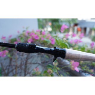Cần Lure Daiwa Blazon 21 | 2 Khúc - Megatop, Braiding-X, Pad Máy AirSensor, Khoen Fuji Alconite...