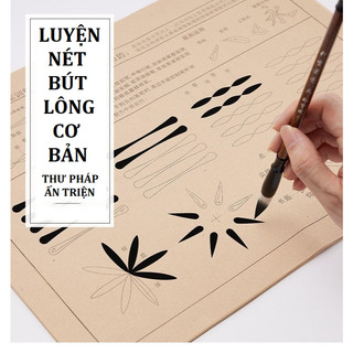    120 TỜ   LUYỆN NÉT BÚT LÔNG CƠ BẢN TỰ HỌC VIẾT THƯ PHÁP HÁN VÀ VIỆT 