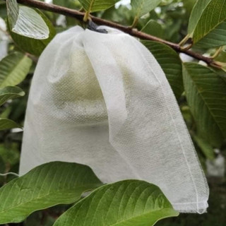 [Túi 18*20] 100 CÁI TÚI BAO BỌC ỔI, VÚ SỮA, HỒNG XIÊM, MẬN CHẤT LIỆU VẢI TỐT