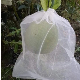 [Túi 35*40cm] 100 CÁI TÚI BAO, BỌC BƯỞI, NHÃN LOẠI LƯỚI DÀY KÍCH THƯỚC 35*40cm