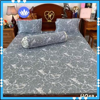 Ga giường thun lạnh lẻ Hàn Quốc in 3D đủ kích thước