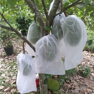 100 Túi Vải Tốt Bao, Bọc Trái Mít Thái ,Chống Ruồi Vàng Hiệu Quả Kích Thước 50*70cm