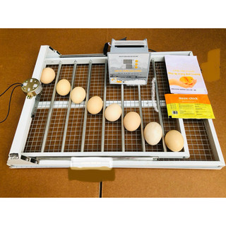 Máy ấp trứng đảo tự động  50trứng