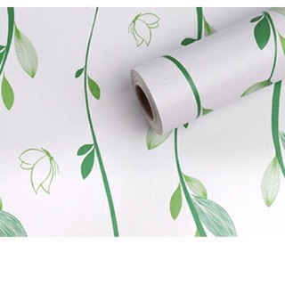 giấy dán tường lá cây xanh   khổ 45cm keo sẵn decal khổ 45cm