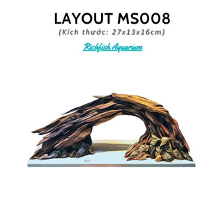 Layout Hang Lũa Cầu Vồng trang trí Bể Thuỷ Sinh Mini