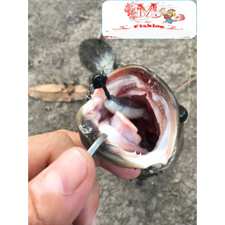 Mồi Mềm Câu Lóc Chẽm Bộ 5 Con