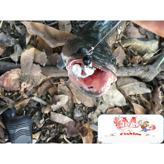 Mồi Mềm Câu Lóc Chẽm Bộ 5 Con