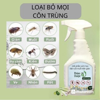 Bình Xịt Diệt Muỗi Kiến Gián Thảo Dược TH, công nghệ sinh học, diệt ve rận chó mèo, bọ chét, rệp giường