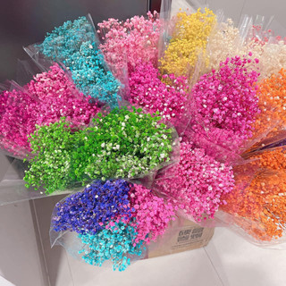 Bó Hoa Baby Khô decor - Hoa khô trang trí - Hoa khô rẻ - bền - đẹp