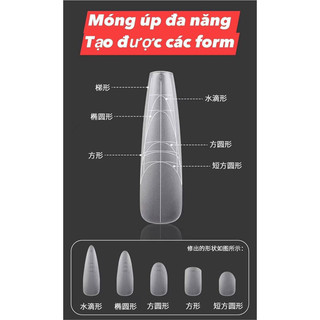 Móng úp chia vạch đa năng hộp 320 móng