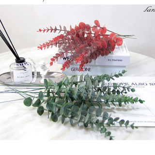 Lá cây bạch đàn Eucalyptus decor trang trí nhà cửa , phụ kiện chụp ảnh