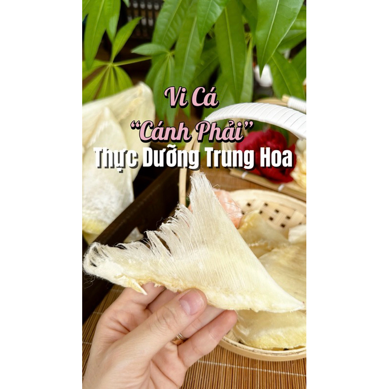 Vi Cá Cánh Phải Bảo Chi (100G)