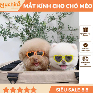 Kính Mắt Cho Chó Mèo Sáng Tạo Phong Cách Hàn Quốc - Kính Mắt Cho Thú Cưng Đáng Yêu - Muchinshop