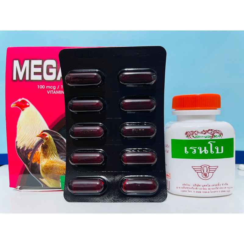 COMBO NUÔI GÀ TƠ PHỔ THÔNG (MEGA B12 + RAINBOW) - Tăng cơ, tăng nước🩸cho gà