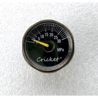 đồng hồ cricket