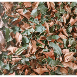 1kg lá vú sữa sấy khô hữu cơ