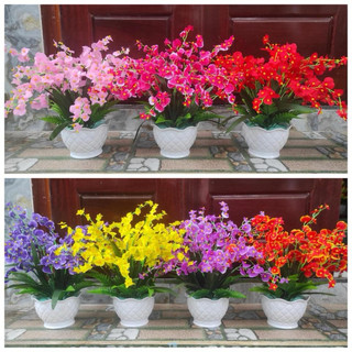 Hoa lan vũ nữ giả loại 1 cành dài 70cm - Set 10 cành - Hoa giả decor trang trí nhà cửa