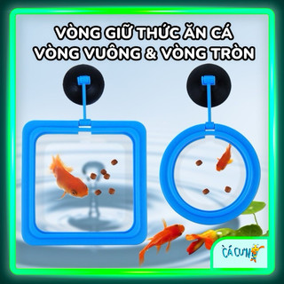 VÒNG GIỮ THỨC ĂN CHO CÁ CẢNH ko làm dơ nước hồ cá (Hàng Công Ty)