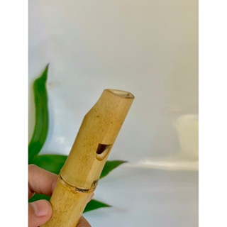 Sáo tiêu trúc ( sáo dọc, sáo recorder) sáo đủ tone cho người mới học, sáo trúc