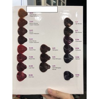Màu nhuộm tóc PGP 100ml (không có oxy và không có bao tay)