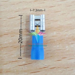 Túi đầu cốt cái 7.3mm x 20mm x 100c