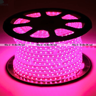 Đèn Led Dây 2835 2 hàng bóng Siêu Sáng. Cuộn 100m=>