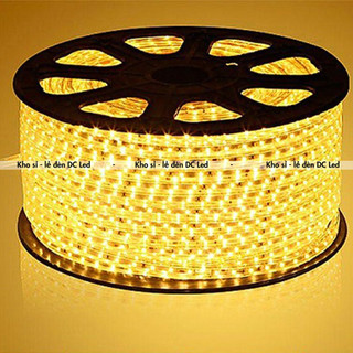 Đèn Led Dây 2835 2 hàng bóng Siêu Sáng. Cuộn 100m=>