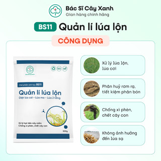 Combo 5 gói xử xử lý lúa lộn, lúa cỏ, lúa 2 tầng BS11 Quản lý lúa lộn NSX Bacsicayxanh