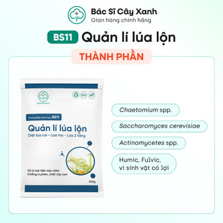 Combo 5 gói xử xử lý lúa lộn, lúa cỏ, lúa 2 tầng BS11 Quản lý lúa lộn NSX Bacsicayxanh
