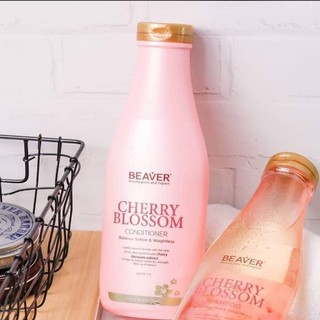 LẺ DẦU GỘI HOẶC XẢ BEAVER NGĂN DẦU SIÊU DƯỠNG CHERRY BLOSSOM 350ML