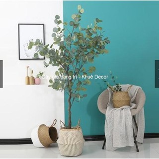 Cây Giả - Cây Bạch đàn Giả- Hàng cao cấp