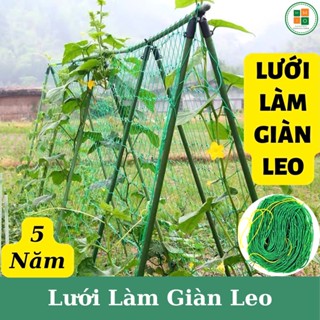 Lưới trồng cây, lưới làm giàn leo mướp, nho, bầu bí, cây hoa, dưa chuột (Siêu bền, đẹp, chắc chắn)